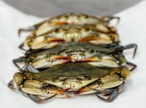 frozen soft shell crabs hotel grade