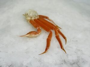 large snow crab legs online