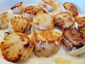 buy giant sea scallops online 