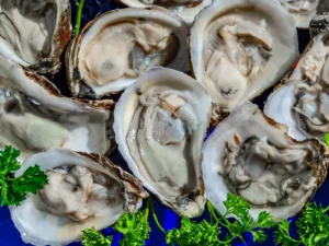 buy fresh oysters in the shell online