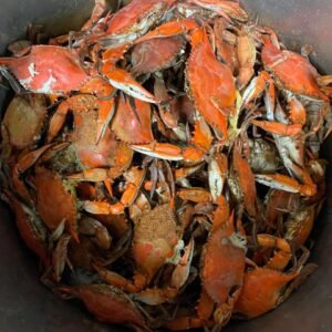buy large male live hard crabs online