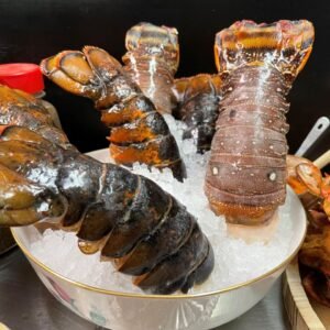 buy x-large lobster tails online