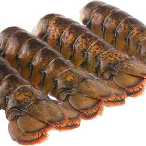 buy medium lobster tails online