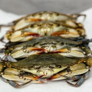 frozen whale soft shell crabs