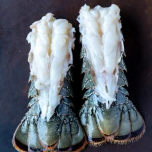 buy colossal lobster tails online