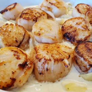 buy giant sea scallops online