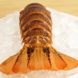 buy tristan lobster tails online